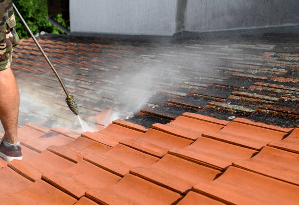 Best Residential Pressure Washing Services  in Socorro, TX
