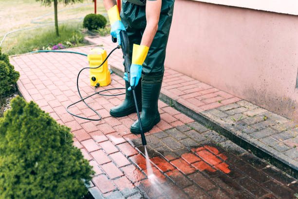 Best Affordable Power Washing  in Socorro, TX