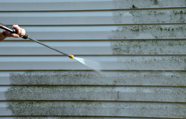 Best Commercial Building Pressure Washing  in Socorro, TX