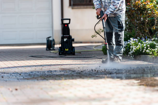 Best Commercial Building Pressure Washing  in Socorro, TX